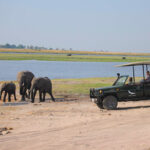 Our Luxury Safari Travel Guide